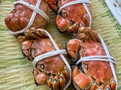-蟹天蟹地农家菜·阳澄湖大闸蟹(浅水湾店)