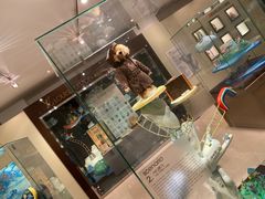 -济州岛泰迪熊博物馆