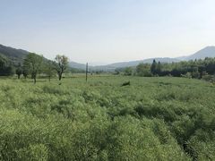 -塔川景区