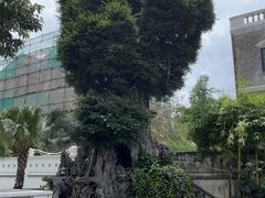 -荔湾博物馆