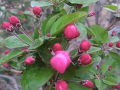 -北运河水利风景区