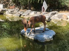 -周口店北京人遗址公园