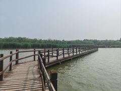 -西青郊野公园