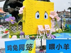 -海合安天津极地海洋公园