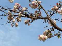 -杭州城北体育公园