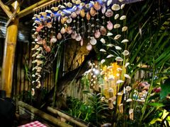 -Jungle Kitchen