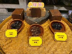 -御温泉·大餐庙会