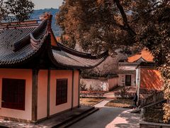 -阿育王寺