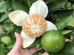 -味多美蛋糕(灯市口店)