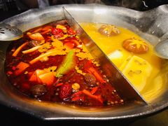 台式麻辣花胶鸡鸳鸯锅-湊湊火锅·茶憩(世博大道店)