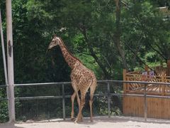 -泉州海丝野生动物世界