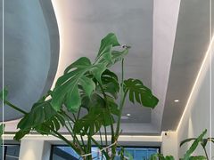 -fishtank鱼缸咖啡(三山街店)