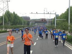 -羊山湖公园