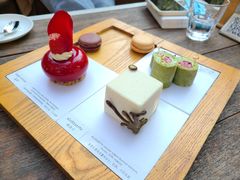 舞蹈家小节-TIENSTIENS将将(三里屯店)