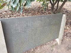 -雨花胜境