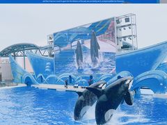 -上海海昌海洋公园
