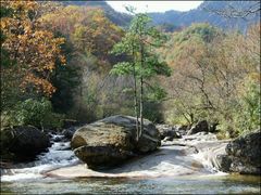 -木兰云雾山