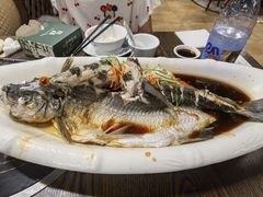 -醉美东江·三文鱼·烧鸡公
