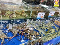 水产区-东江海鲜酒家(艺都分店)