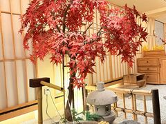 -庆春朴门