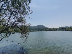 -西湖外事游船(花港观鱼码头)