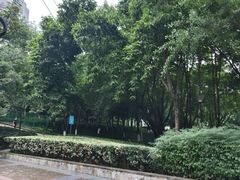 -龙头寺公园
