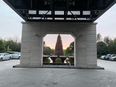 -上海崇明金茂凯悦酒店