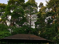 -武吉知马自然保护区