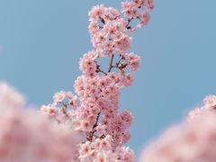 -堤角公园