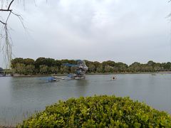-上海鲜花港