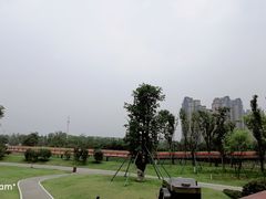 -府河摄影公园