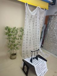 -童年时光专业儿童摄影(龙首店)