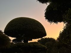 -南宁南湖公园