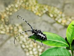 -上海市保健医疗中心