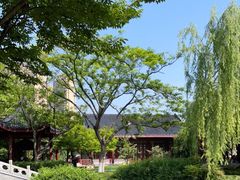 -堤角公园