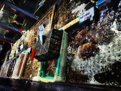 -大京园海鲜烧烤(东城路店)