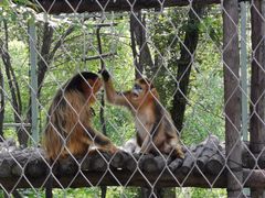 -哈尔滨北方森林动物园