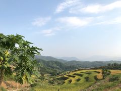 -牙胡梯田