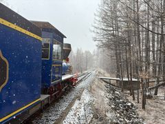 -莫尔道嘎国家森林公园