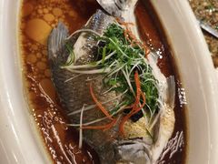 -陶缘一号·四季缘·老字号顺德菜·户外婚礼家宴(西滘店)