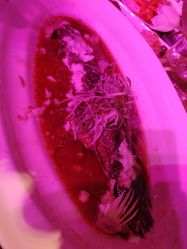 -格乐利雅婚礼艺术中心(南外滩店)