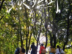 -火炉山森林公园
