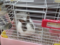 -乐宠宠物店(世纪金源店)