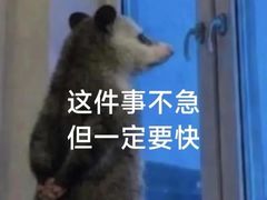 -上海鲜花港
