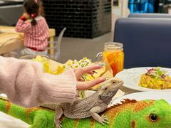 -FAIRYLAND龙族星球主题餐厅(凯丹广场店)