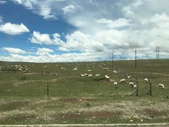 -青海湖国家重点风景名胜区