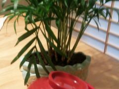 -活鳗饭·鹅肝范儿(高碑店店)
