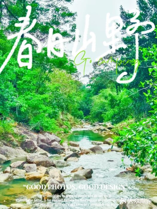 广州白江湖森林公园图片