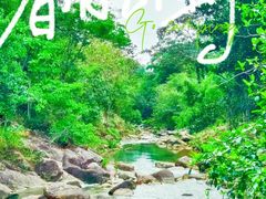-广州白江湖森林公园
