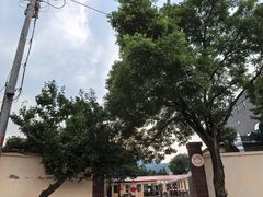 -大鹅岛灶台鱼·铁锅炖(水库路店)
